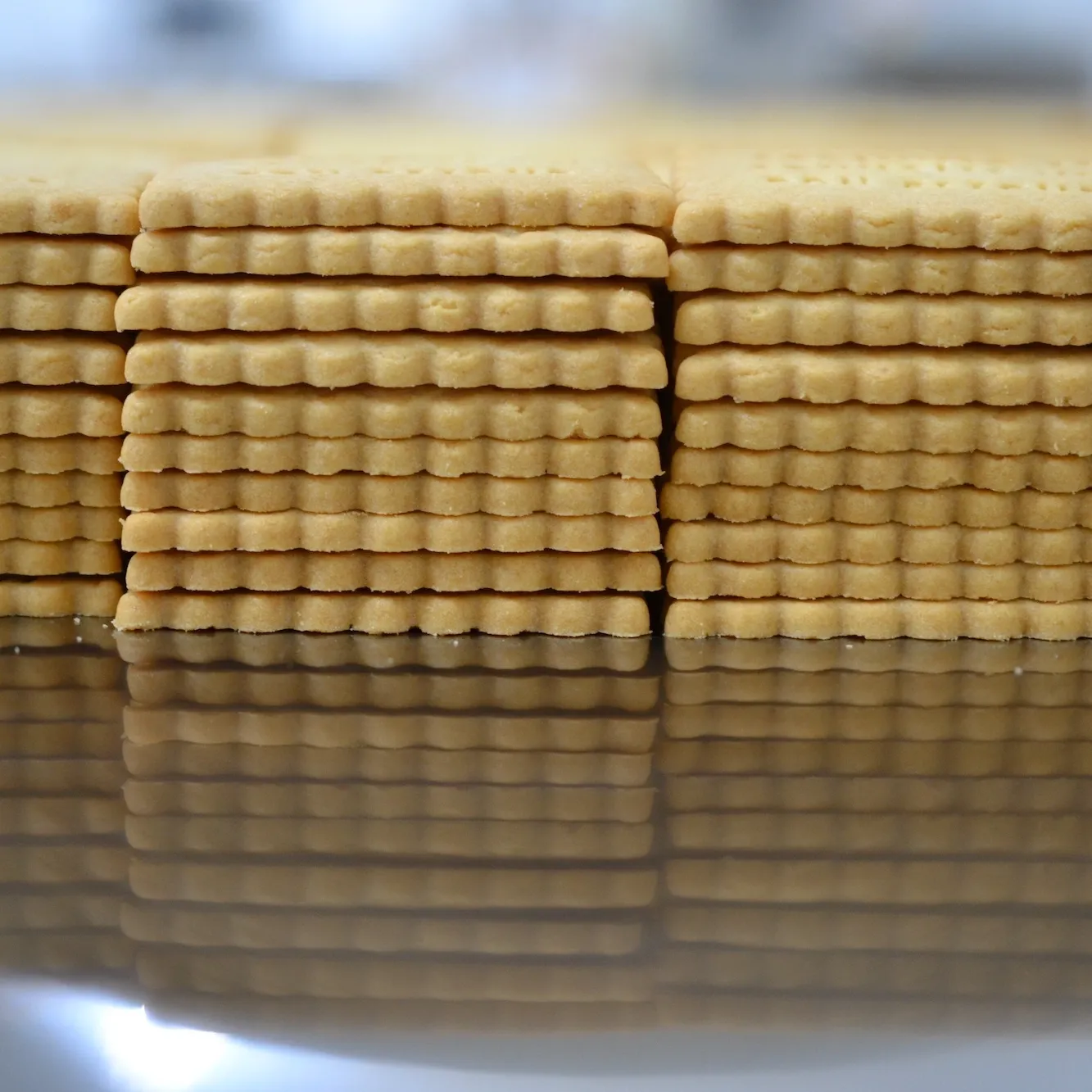 Biscuits Shanty Biscuit superposés, sortant tout droit de la production artisanale